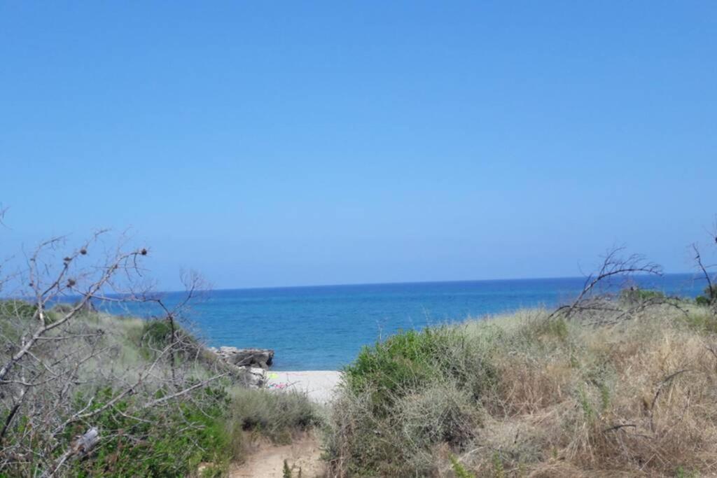 Appartement Les Pieds Dans L'Eau 300 M Plage - 2 Piscines Linguizzetta المظهر الخارجي الصورة